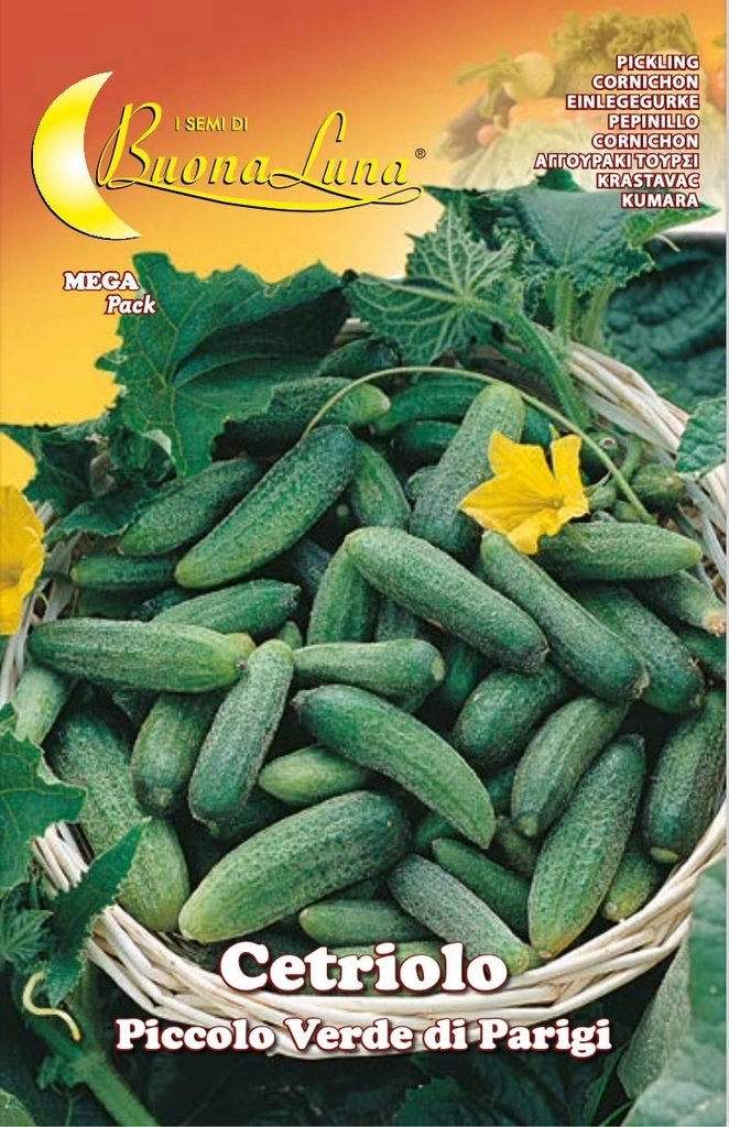 Semillas De Pepino Pequeño Verde De París
