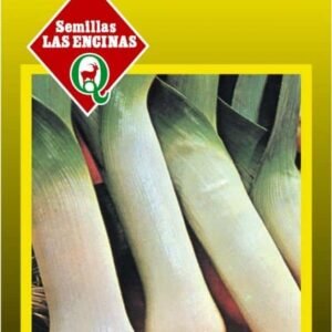 Semillas de Puerro Carentán