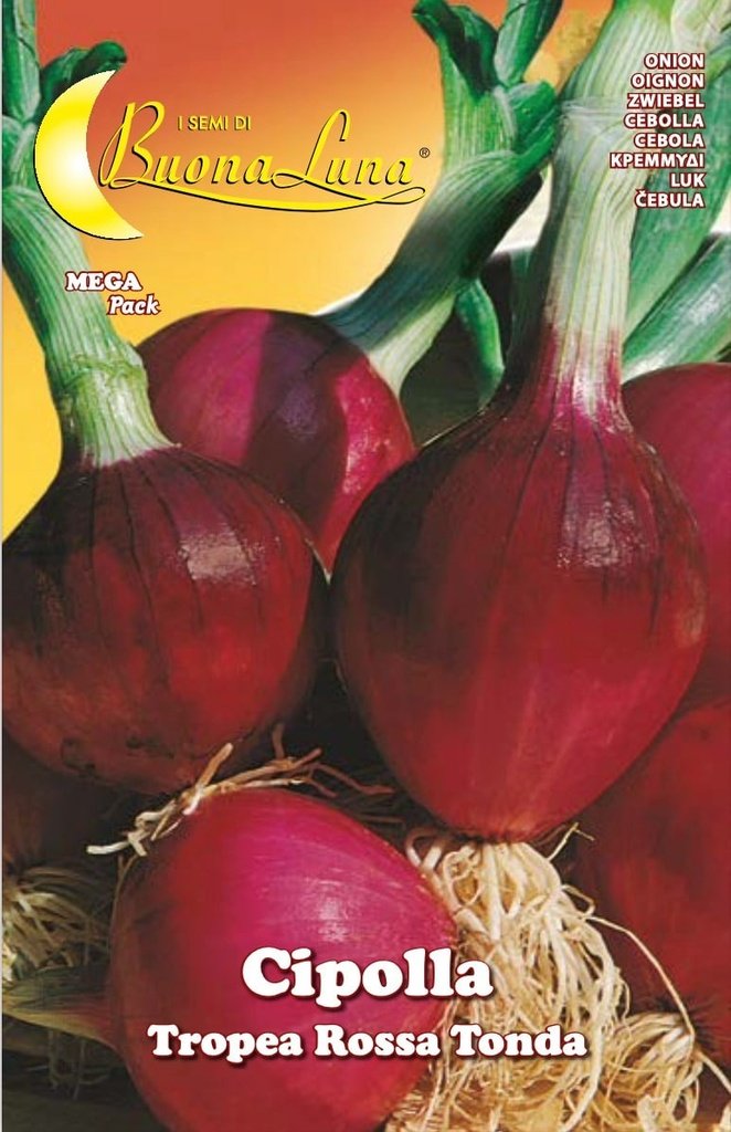 Semillas De Cebolla Tropea Roja Redonda
