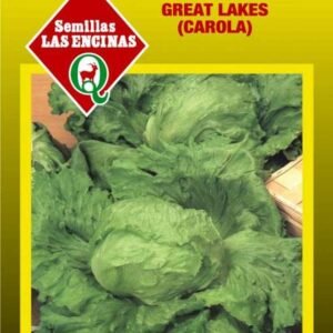 Semillas de Lechuga Escarola