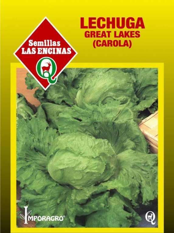 Semillas de Lechuga Escarola
