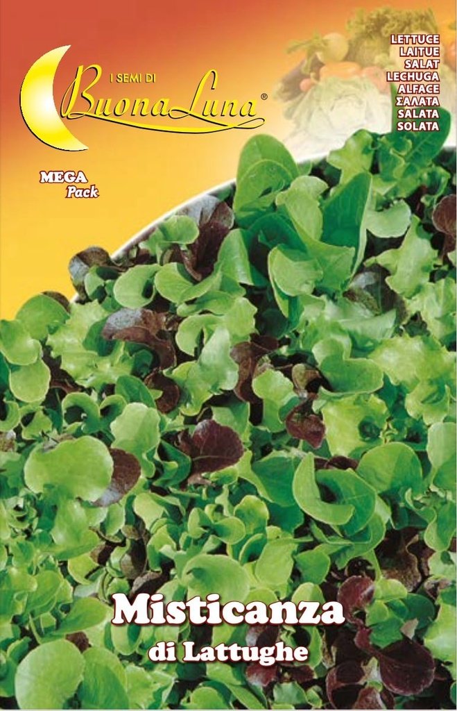 Semillas De Lechuga Mix de Variedades