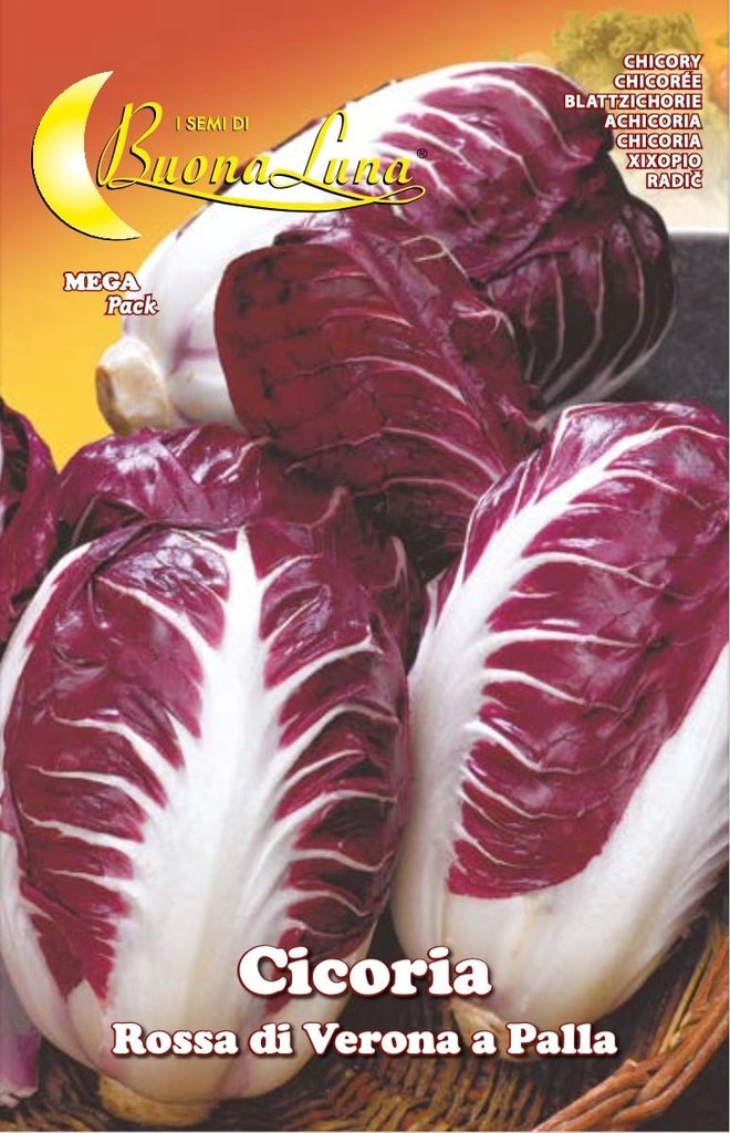 Semillas De Achicoria Bola Roja De Verona