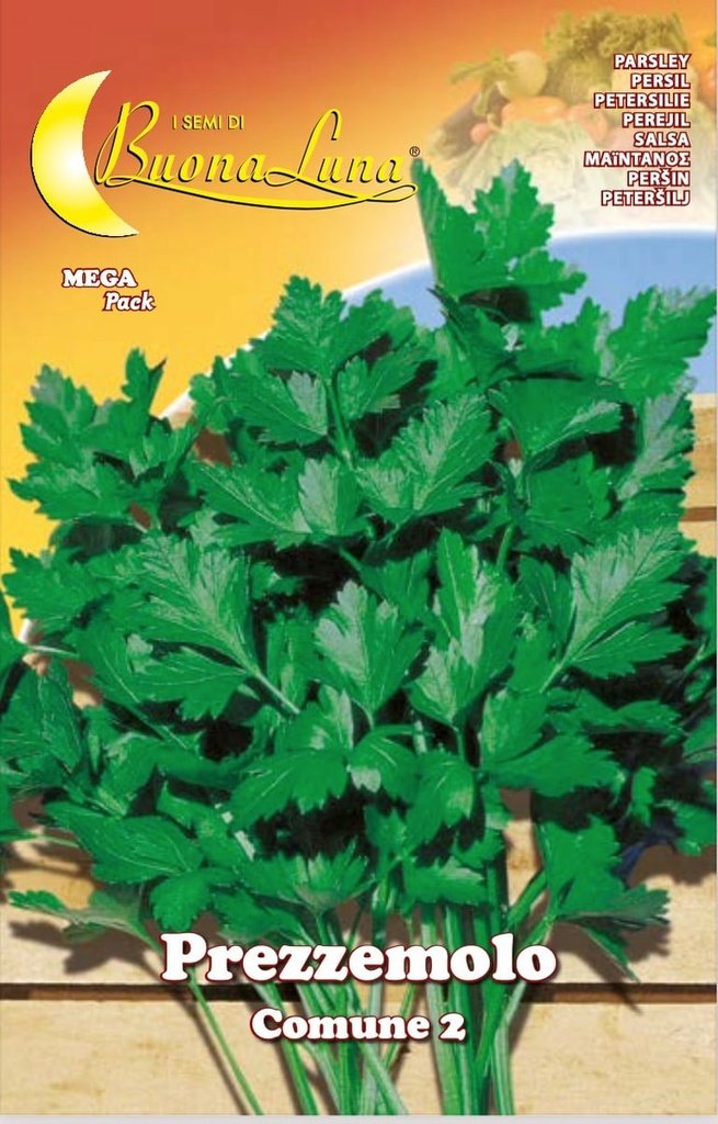 Semillas De Perejil Común