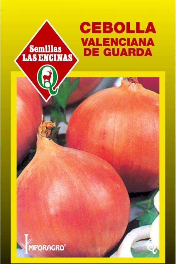 Semillas de Cebolla Valenciana de Guarda - Imagen 2