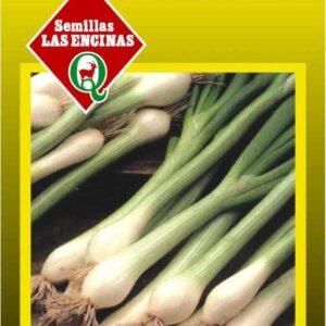 Semillas de Cebollín