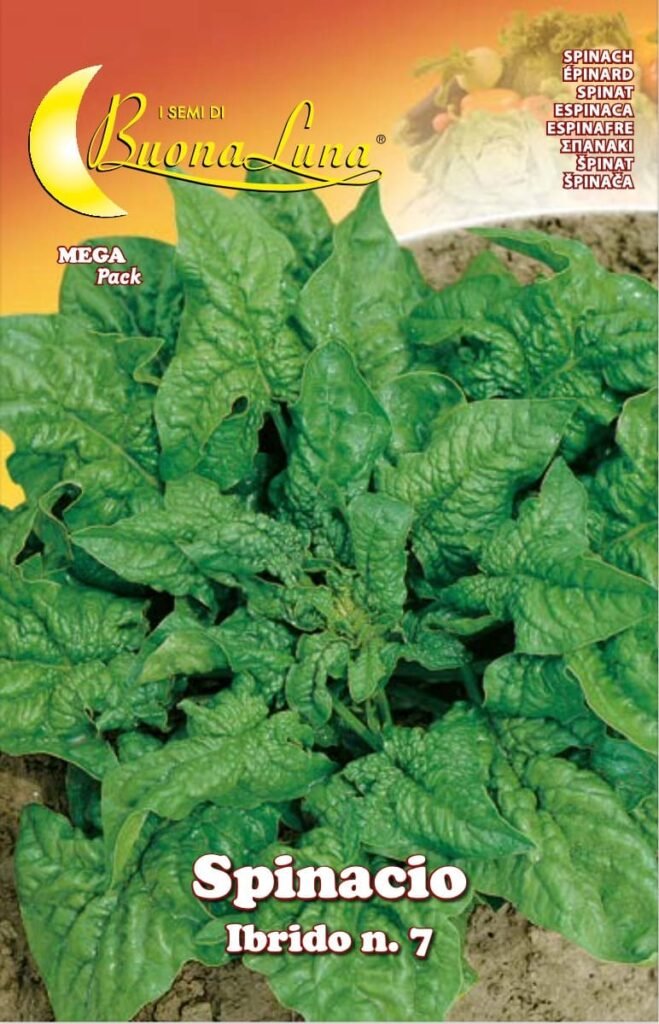 Semillas De Espinaca Hibrida 7