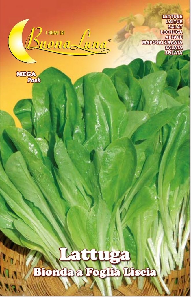 Semillas De Lechuga Rubia Hoja Lisa