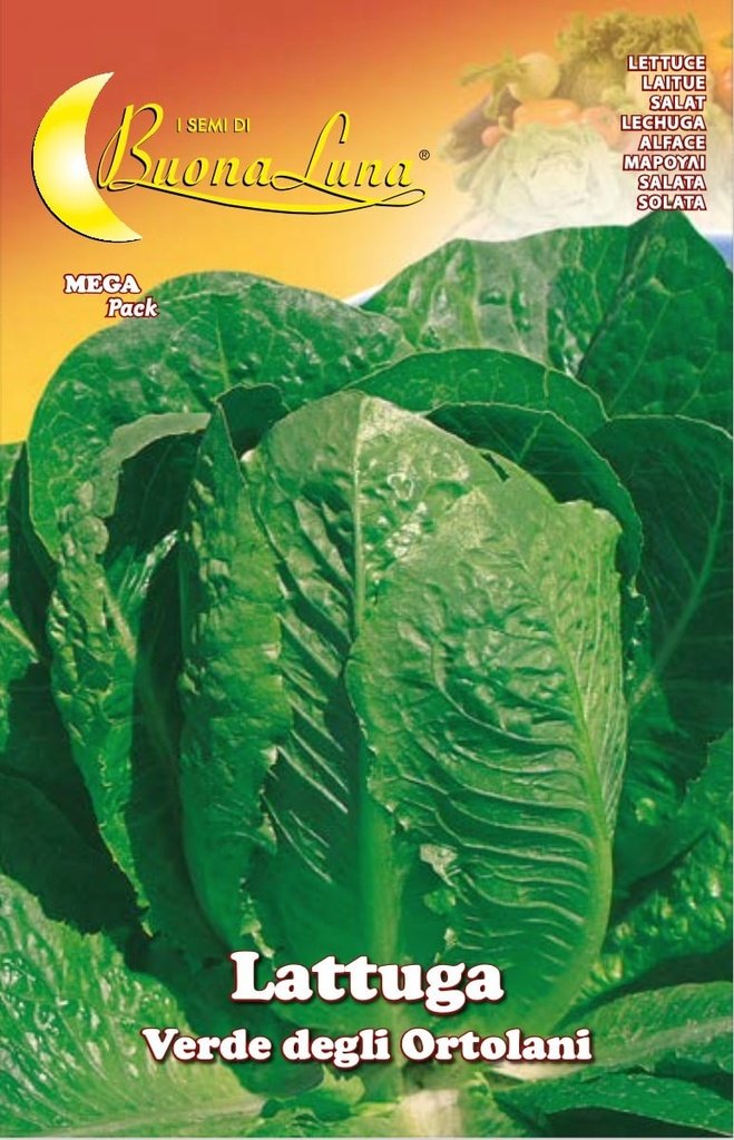 Semillas De Lechuga Romana Verde de los Ortolani