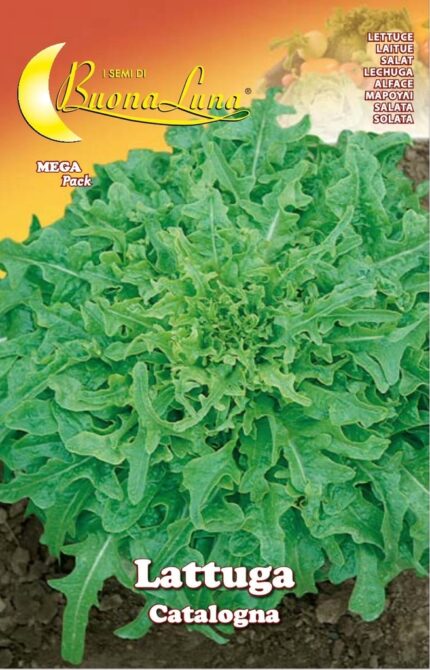 Semillas De Lechuga Cataluña