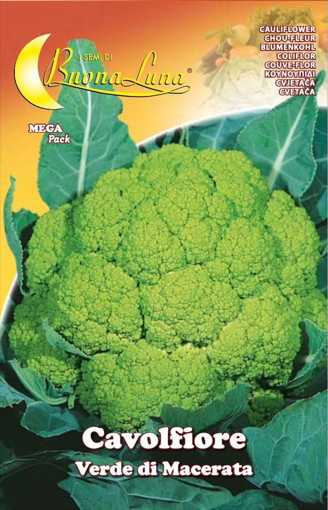 296f65affc6e60652518d6f8a0763c82_Semillas_De_Coliflor_Verde_De_Macerata_45383.jpeg