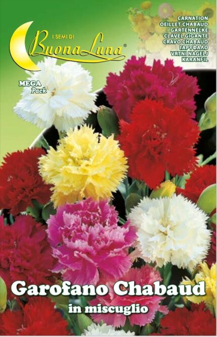 Semillas De Clavel Doble Chabaud en Mix