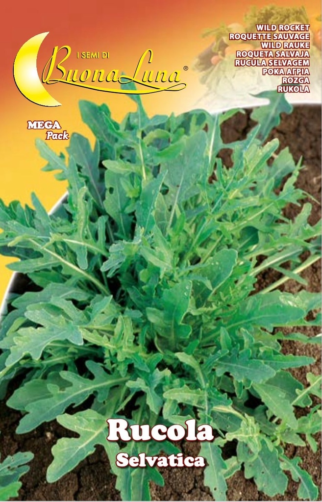 3e2503fef901a20844b140e32f171cb2_Semillas_De_Rucula_Silvestre_45496.jpeg