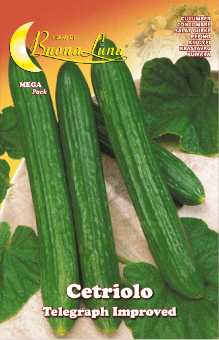 Semillas De Pepino Telégrafo Mejorado