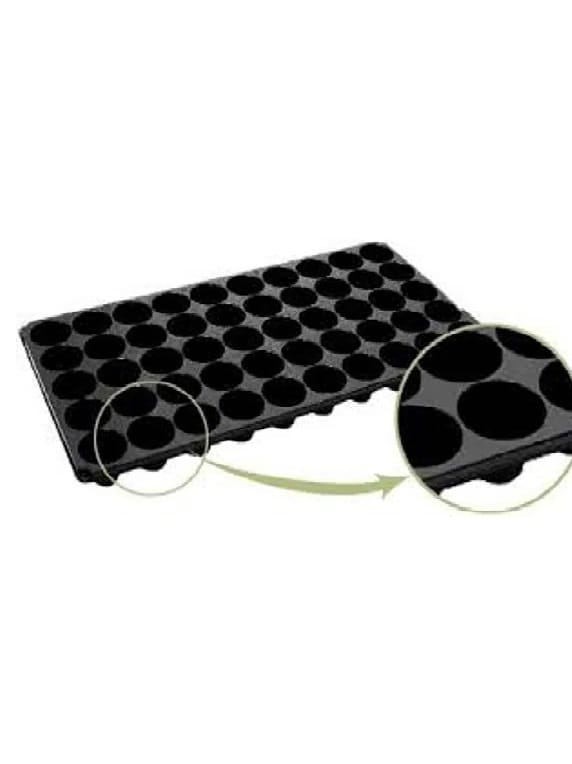 Almaciguera Almaciguera