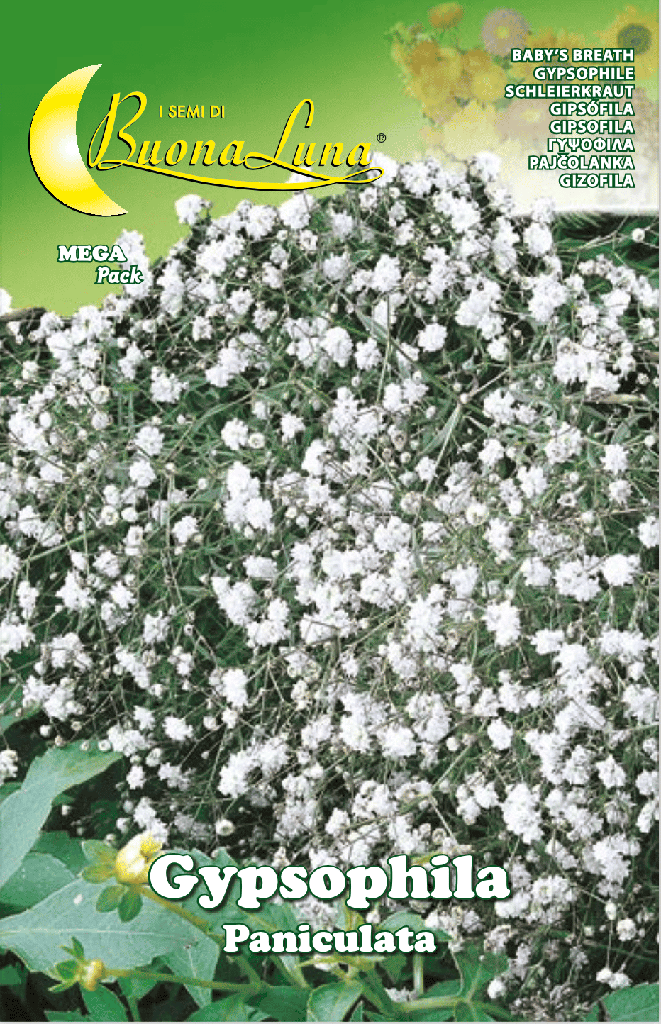 57285b33debc868e8c2946ee030be535_Semillas_De_Gipsofila_Paniculata_Perenne_Doble_45539.png