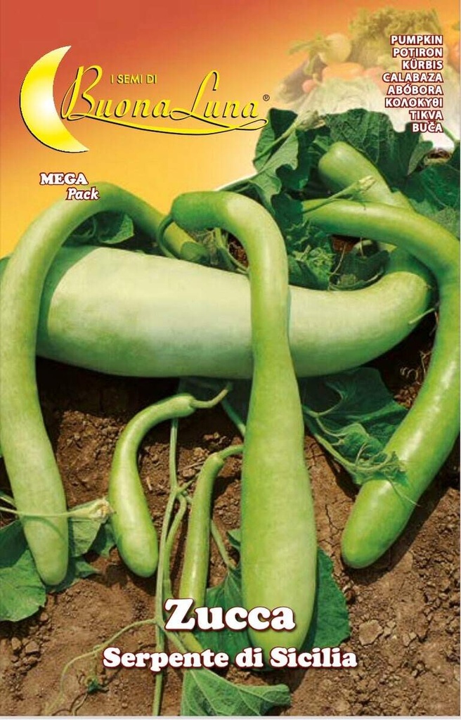 658fe39750f4bcfb3749aa88b6c3c6bd_Semillas_De_Zapallo_Serpiente_De_Sicilia_45517.jpeg