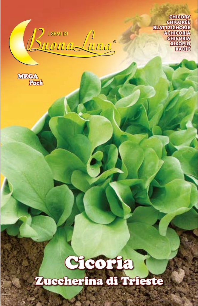 7080012aba720b9614a852be6223c71b_Semillas_De_Achicoria_Zuccherina_Di_Trieste_45353.jpeg