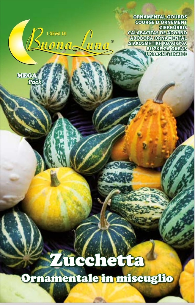 7707d54d3cda37818098d35ef896df6a_Semillas_De_Calabacitas_Ornamentales_45564.jpeg