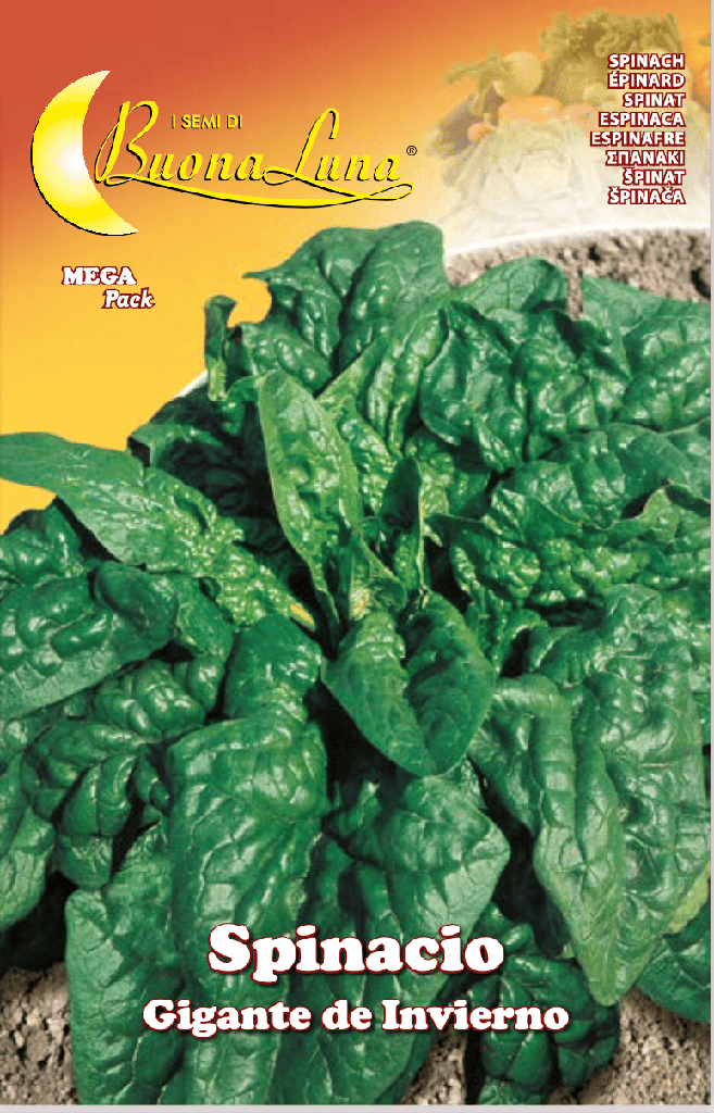 77945a2580b8cbf6125f06e08a987aac_Semillas_De_Espinaca_Gigante_De_Invierno_45500.png