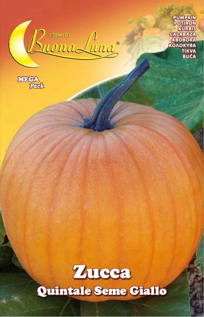 881790bc6579100fb0fe35ee05642a73_Semillas_De_Zapallo_Quintal_Semilla_Amarilla_45513.jpeg
