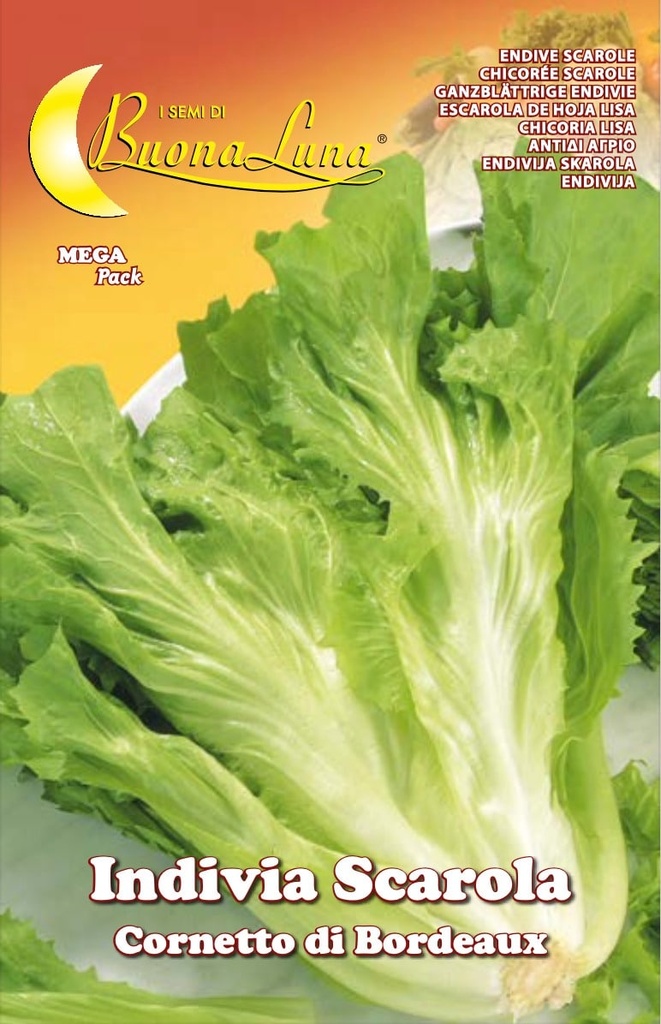 8cb55dee86fc70f4d531969ee89a250f_Semillas_De_Endivia_Scarola_Cornetto_Di_Bordeaux_45398.jpeg