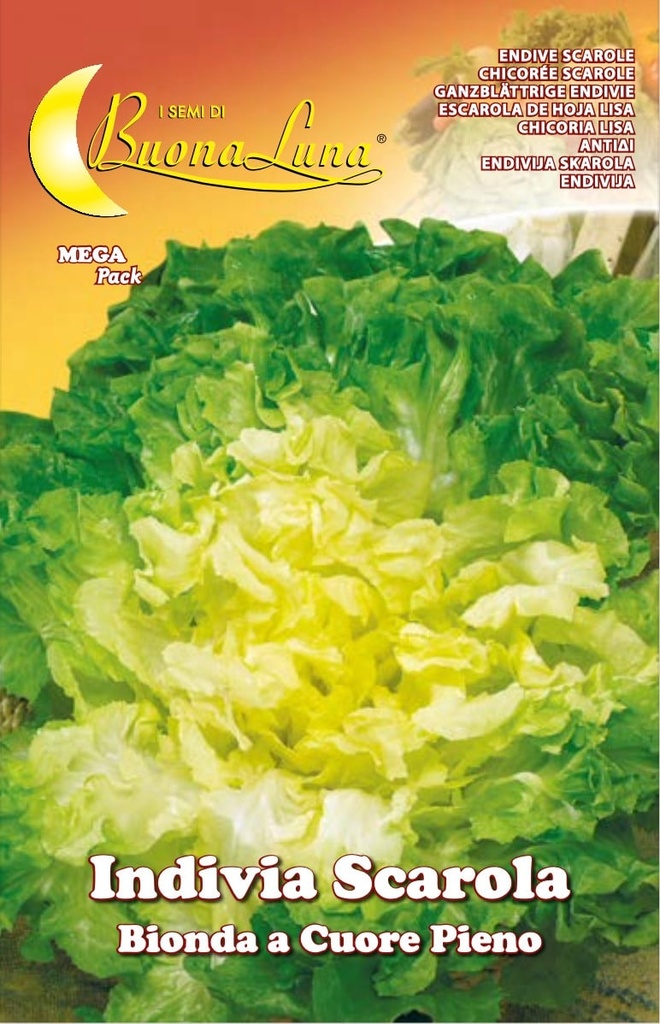 9023809c0beb822c76585b6b6b195066_Semillas_De_Endivia_Escarola_Rubia_Corazon_Lleno_45395.jpeg