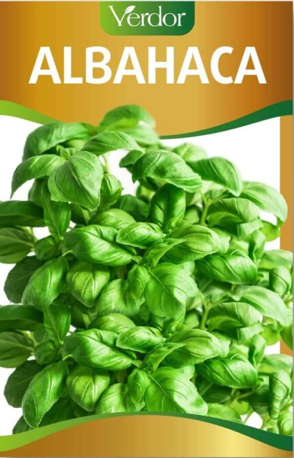 Semillas de Albahaca