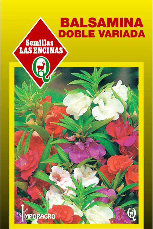 Balsamina-2.jpg