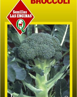 Semillas de Broccoli