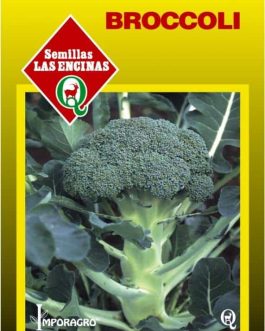Semillas de Broccoli
