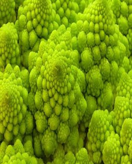 Semillas de Broccoli Romanesco 100 Grs