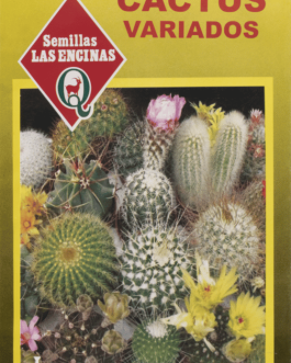 Semillas de Cactus Variado