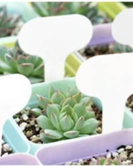 Etiquetas Reutilizables Para Plantas y Flores 10 Unidades