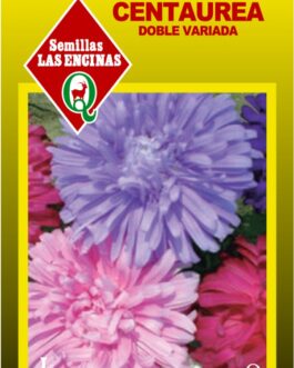 Semillas de Centaurea