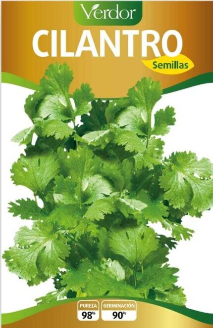 Semillas De Cilantro