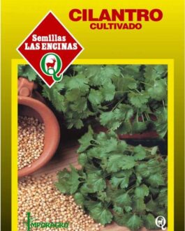 Semillas de Cilantro