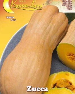 Semillas De Zapallo Butternut 