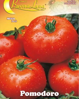 Semillas De Tomate Ace 55 Vf