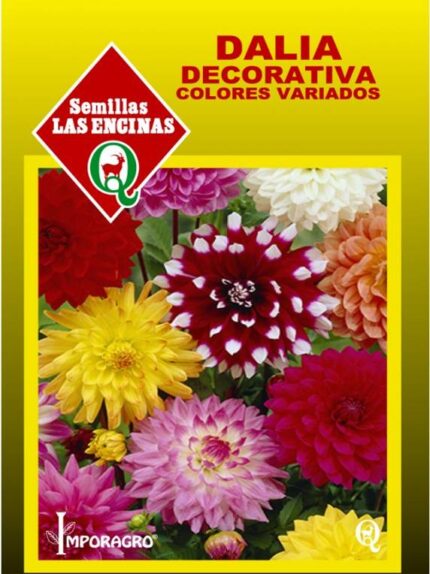 Semillas de Dalia Decorativa