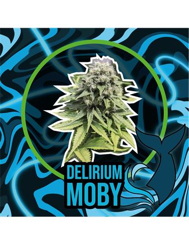 Delirium Moby Auto - Delirium Seeds