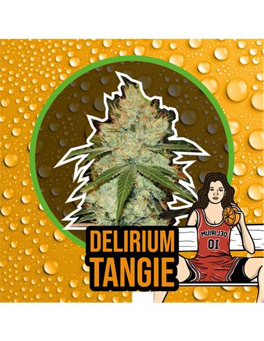 Delirium Tangi FEM - Delirium Seeds