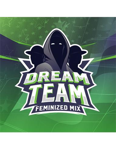 Dream Team Feminized Mix X12 - Bsf Seeds