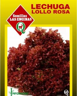 Semillas de Lechuga Lollo Rossa