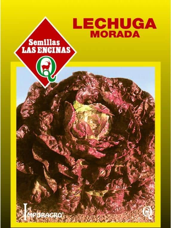 Lechuga-Morada-4-Estaciones-Huertos-Alma-2.jpg