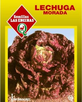 Semillas de Lechuga Morada 4 Estaciones