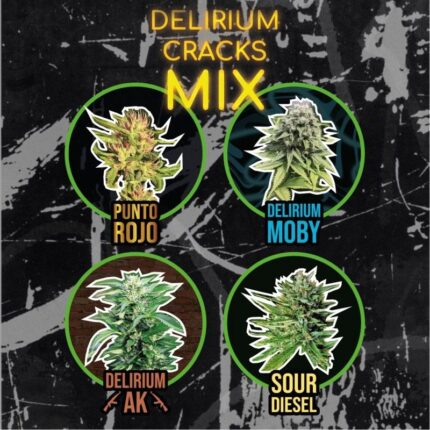 MIX DELIRIUM CRACKS AUTO X8-DELIRIUM SEEDS