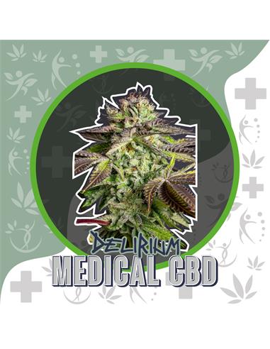 Medical CBD Auto - Delirium Seeds