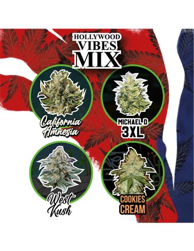 Mix Hollywood Vibe Auto - Delirium Seeds