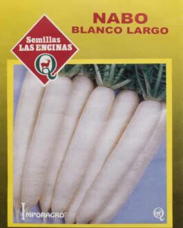 Semillas de Nabo Blanco